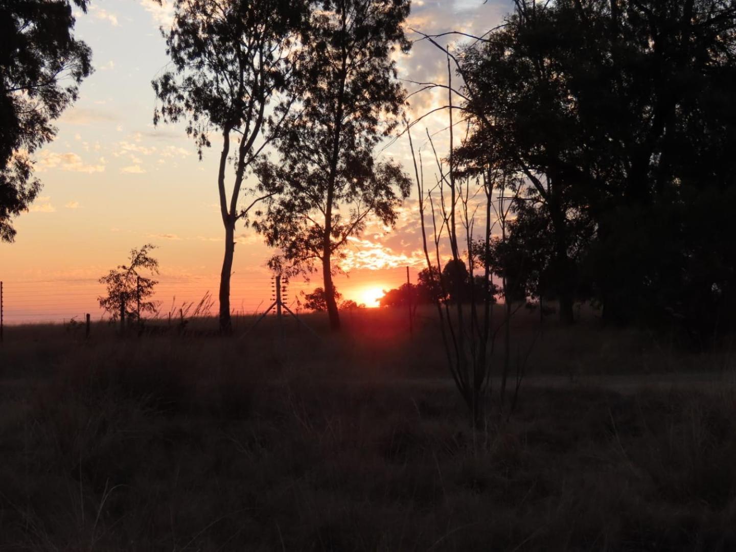 Sanctuary Life Guest Farm Hotel Magaliesburg Luaran gambar