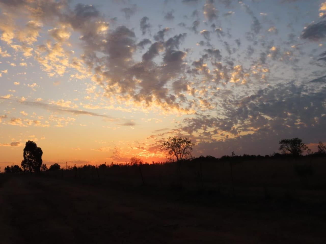 Sanctuary Life Guest Farm Hotel Magaliesburg Luaran gambar