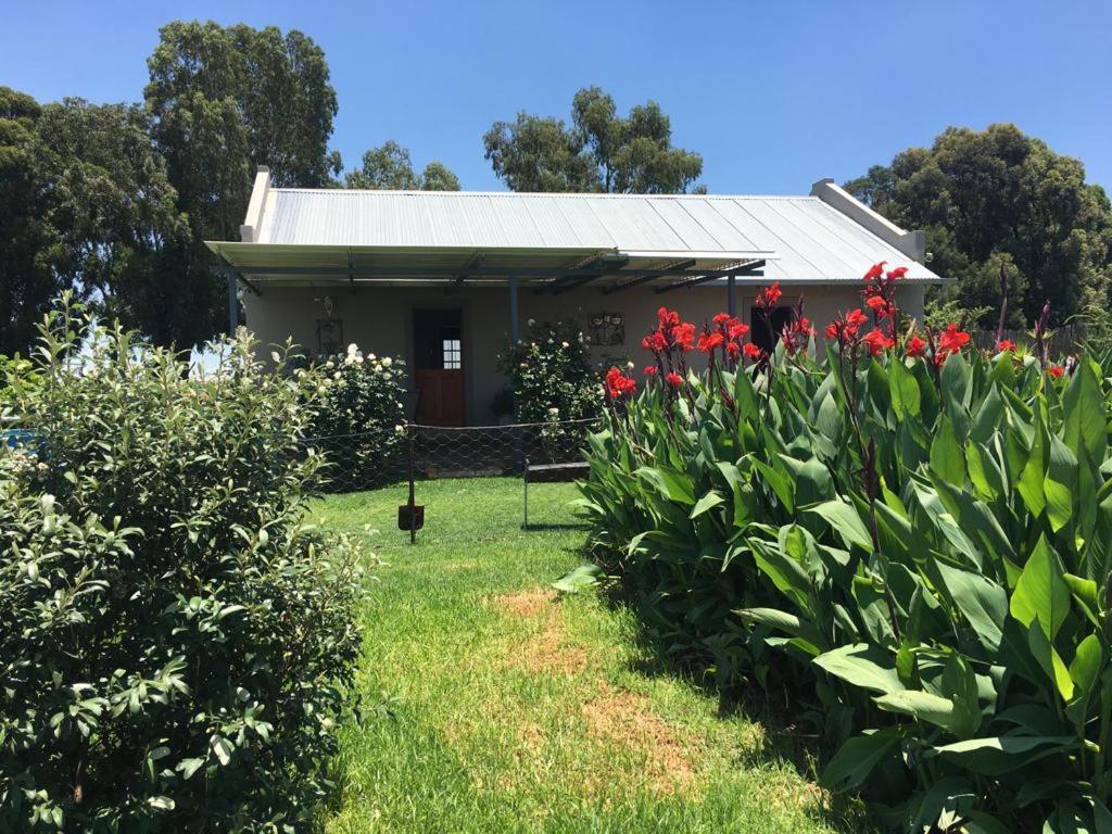 Sanctuary Life Guest Farm Hotel Magaliesburg Luaran gambar