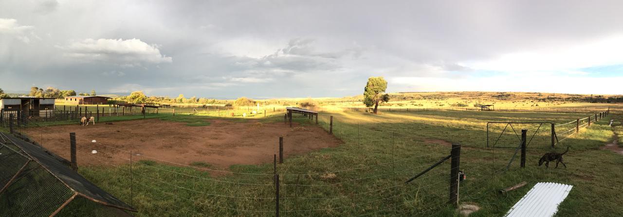 Sanctuary Life Guest Farm Hotel Magaliesburg Luaran gambar