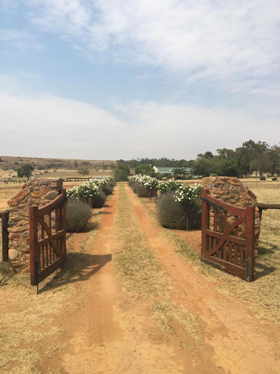 Sanctuary Life Guest Farm Hotel Magaliesburg Luaran gambar