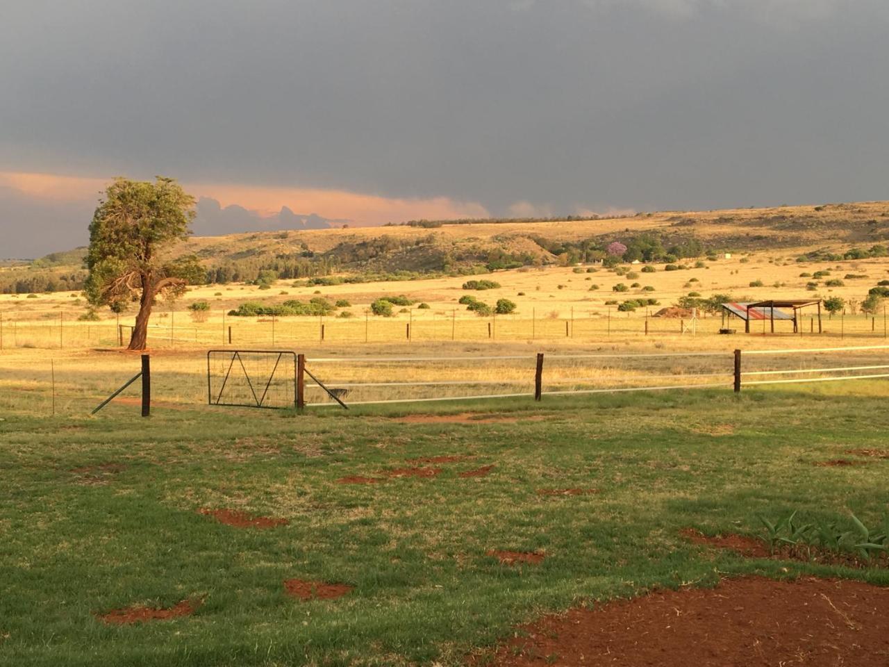 Sanctuary Life Guest Farm Hotel Magaliesburg Luaran gambar